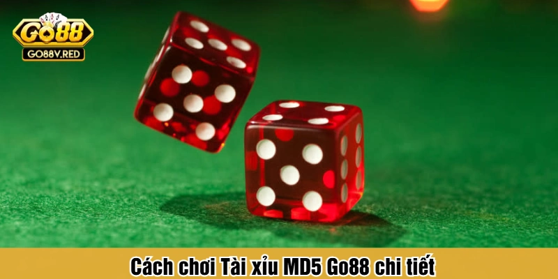 Cách chơi Tài xỉu MD5 Go88 chi tiết