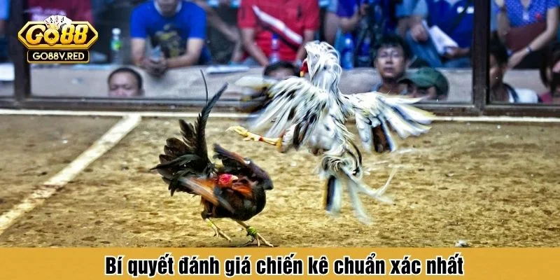 Thói quen quan sát đúng sẽ giúp đọc trận dễ hơn